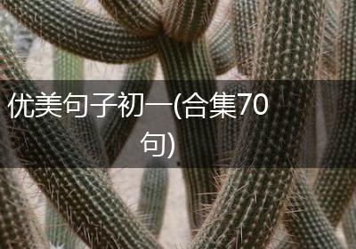 优美句子初一(合集70句)