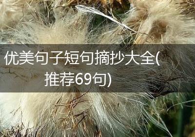 优美句子短句摘抄大全(推荐69句)