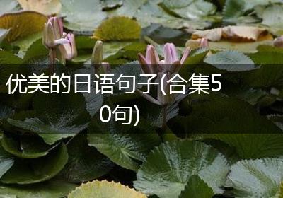 优美的日语句子(合集50句)