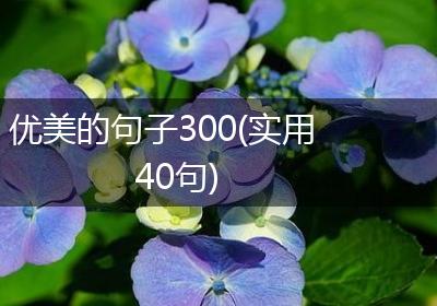 优美的句子300(实用40句)