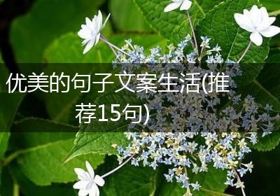 优美的句子文案生活(推荐15句)