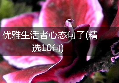 优雅生活者心态句子(精选10句)