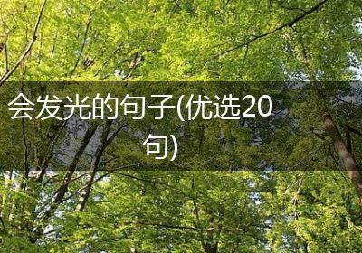 会发光的句子(优选20句)