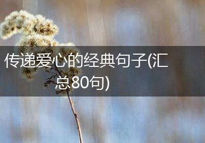 传递爱心的经典句子(汇总80句)