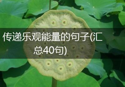 传递乐观能量的句子(汇总40句)
