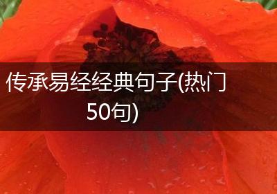 传承易经经典句子(热门50句)