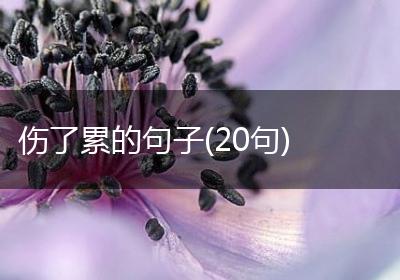 伤了累的句子(20句)