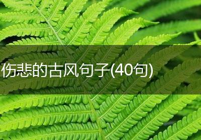 伤悲的古风句子(40句)