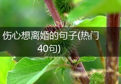 伤心想离婚的句子(热门40句)
