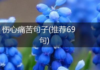 伤心痛苦句子(推荐69句)