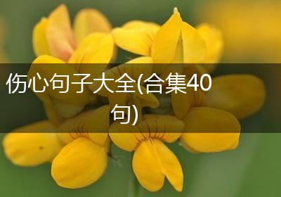 伤心句子大全(合集40句)
