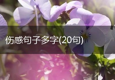 伤感句子多字(20句)