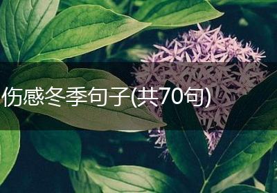 伤感冬季句子(共70句)