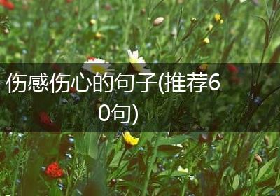 伤感伤心的句子(推荐60句)