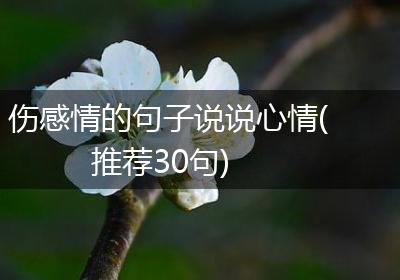 伤感情的句子说说心情(推荐30句)