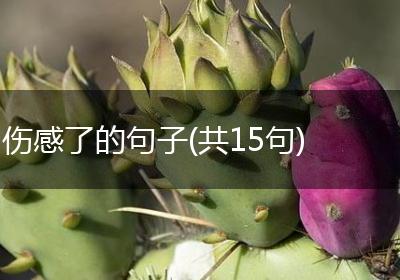 伤感了的句子(共15句)