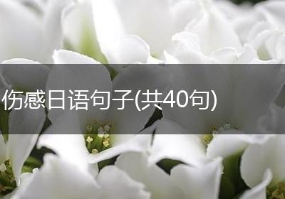 伤感日语句子(共40句)