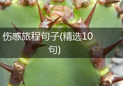 伤感旅程句子(精选10句)