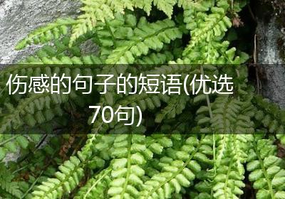 伤感的句子的短语(优选70句)
