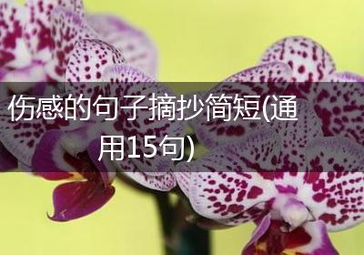 伤感的句子摘抄简短(通用15句)