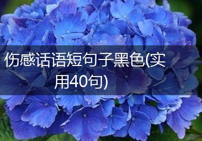 伤感话语短句子黑色(实用40句)