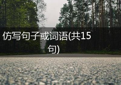 仿写句子或词语(共15句)