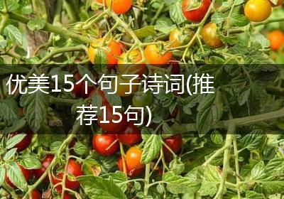 优美15个句子诗词(推荐15句)
