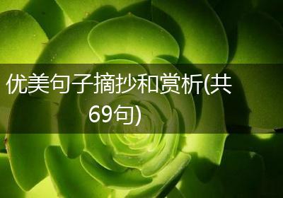 优美句子摘抄和赏析(共69句)
