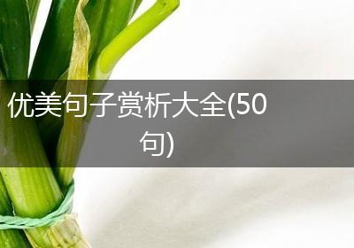 优美句子赏析大全(50句)