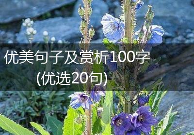 优美句子及赏析100字(优选20句)