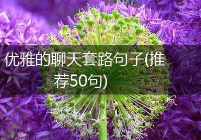 优雅的聊天套路句子(推荐50句)