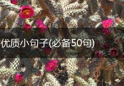 优质小句子(必备50句)