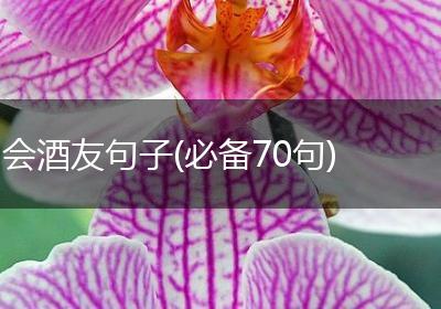 会酒友句子(必备70句)