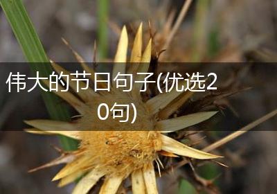 伟大的节日句子(优选20句)