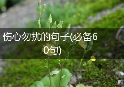 伤心勿扰的句子(必备60句)