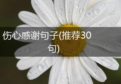 伤心感谢句子(推荐30句)