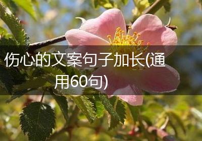 伤心的文案句子加长(通用60句)