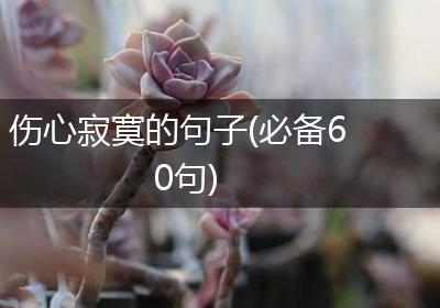 伤心寂寞的句子(必备60句)