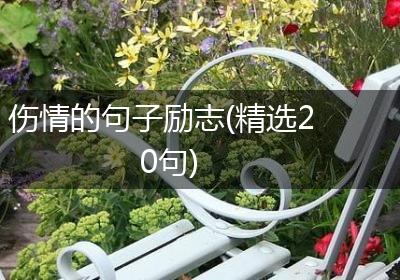 伤情的句子励志(精选20句)