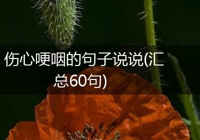 伤心哽咽的句子说说(汇总60句)