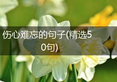 伤心难忘的句子(精选50句)