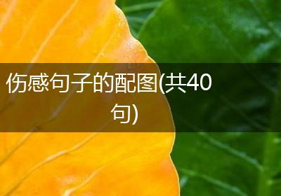 伤感句子的配图(共40句)