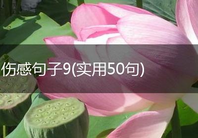 伤感句子9(实用50句)