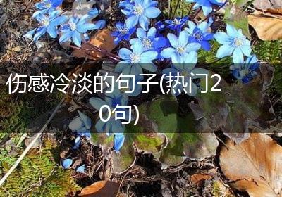 伤感冷淡的句子(热门20句)