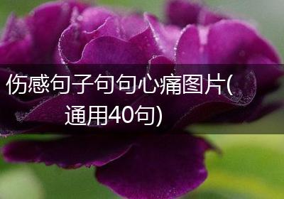 伤感句子句句心痛图片(通用40句)