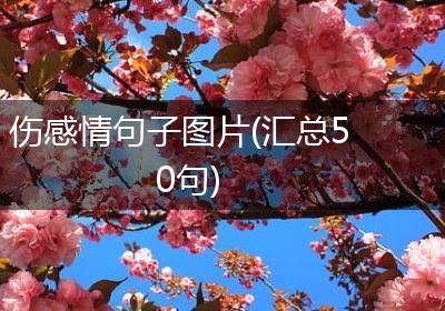 伤感情句子图片(汇总50句)