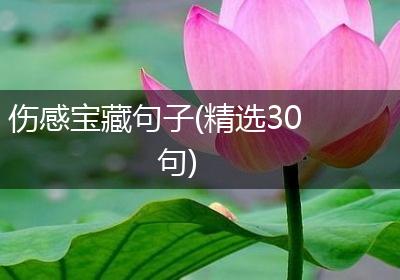 伤感宝藏句子(精选30句)