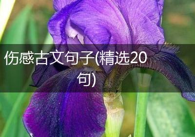 伤感古文句子(精选20句)