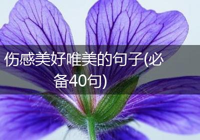 伤感美好唯美的句子(必备40句)