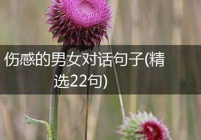 伤感的男女对话句子(精选22句)